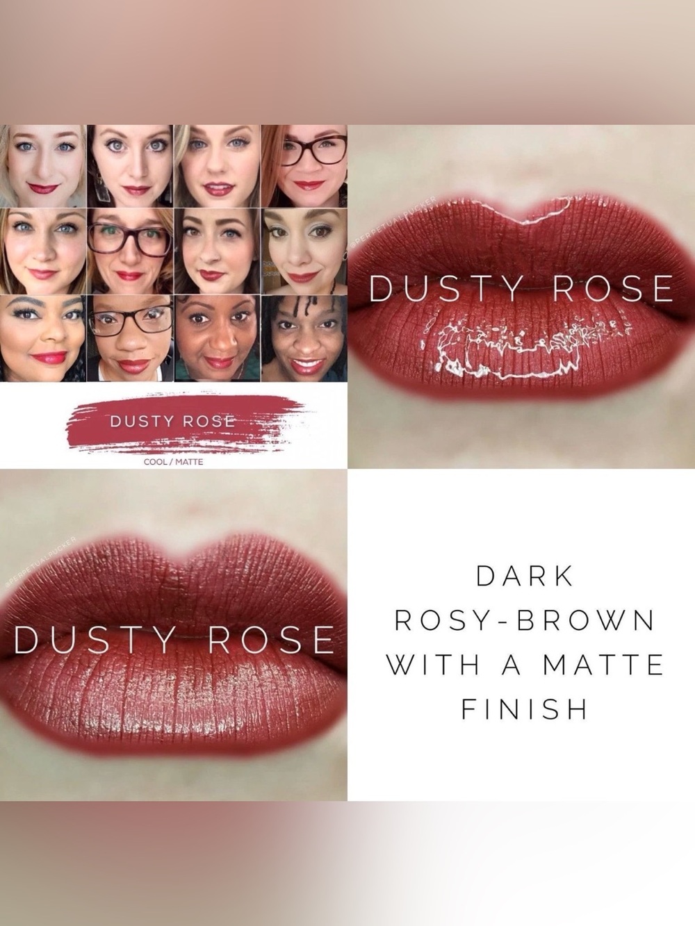 Dusty Rose Lipsense— Dark Rosy-Brown Shade